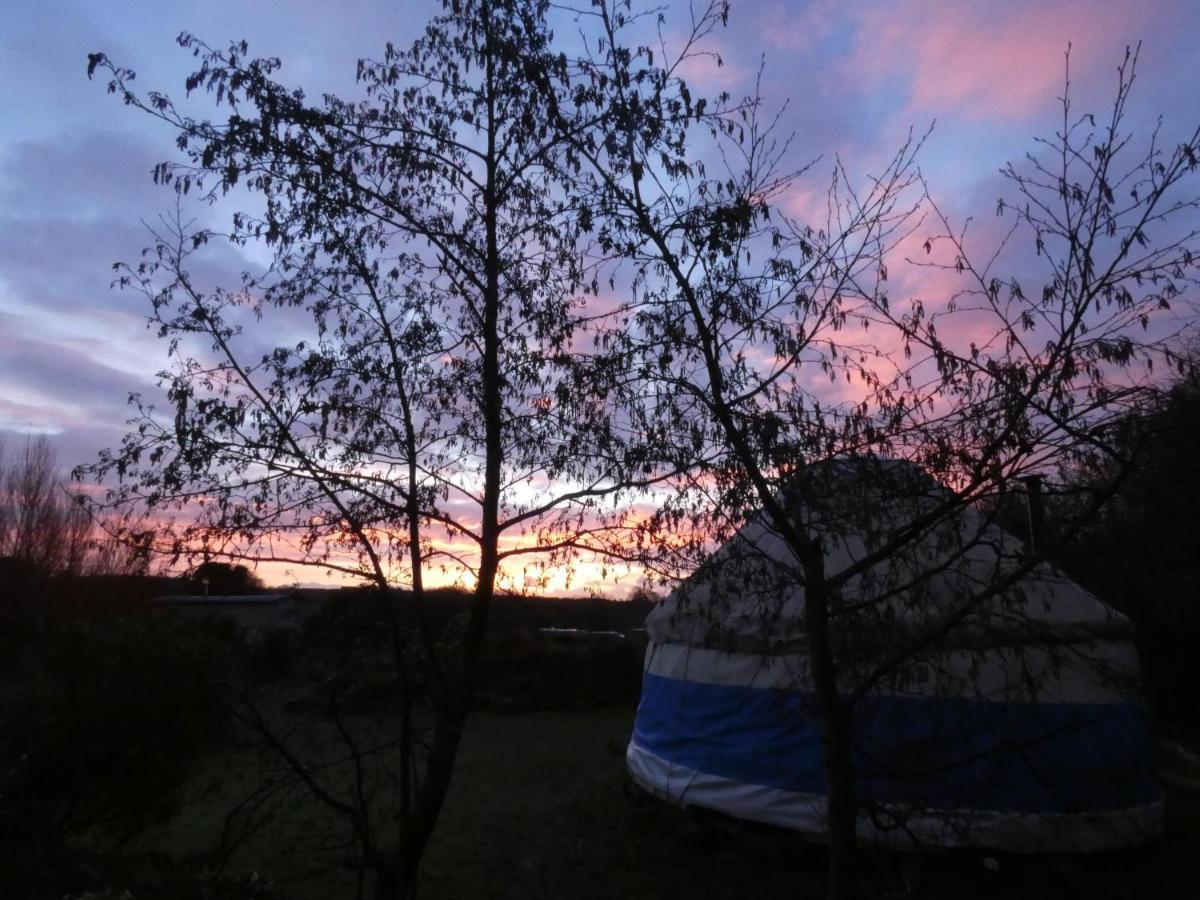 Inch Hideaway Eco Camping Whitegate  Eksteriør bilde
