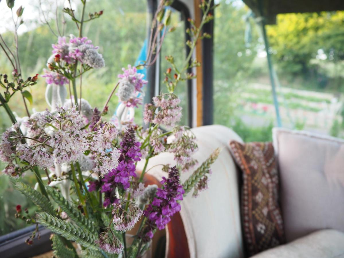 Inch Hideaway Eco Camping Whitegate  Eksteriør bilde