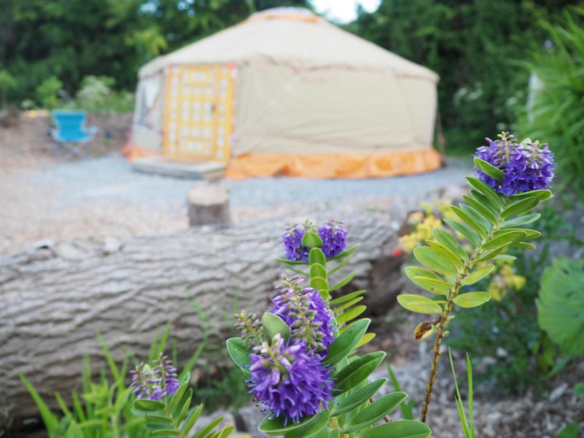 Inch Hideaway Eco Camping Whitegate  Eksteriør bilde